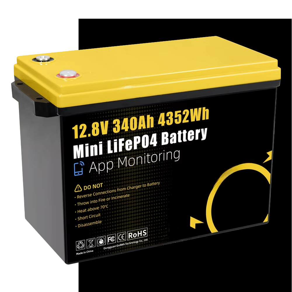 GoKWh マリン 12V LiFePO4 リチウムバッテリ - Lithium Battery 100Ah のレビューと価格