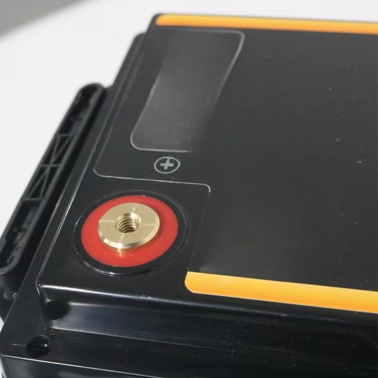 Lifepo4 12V 100Ah 200Ah 300Ah  - Lithium Battery 100Ah のレビューと価格