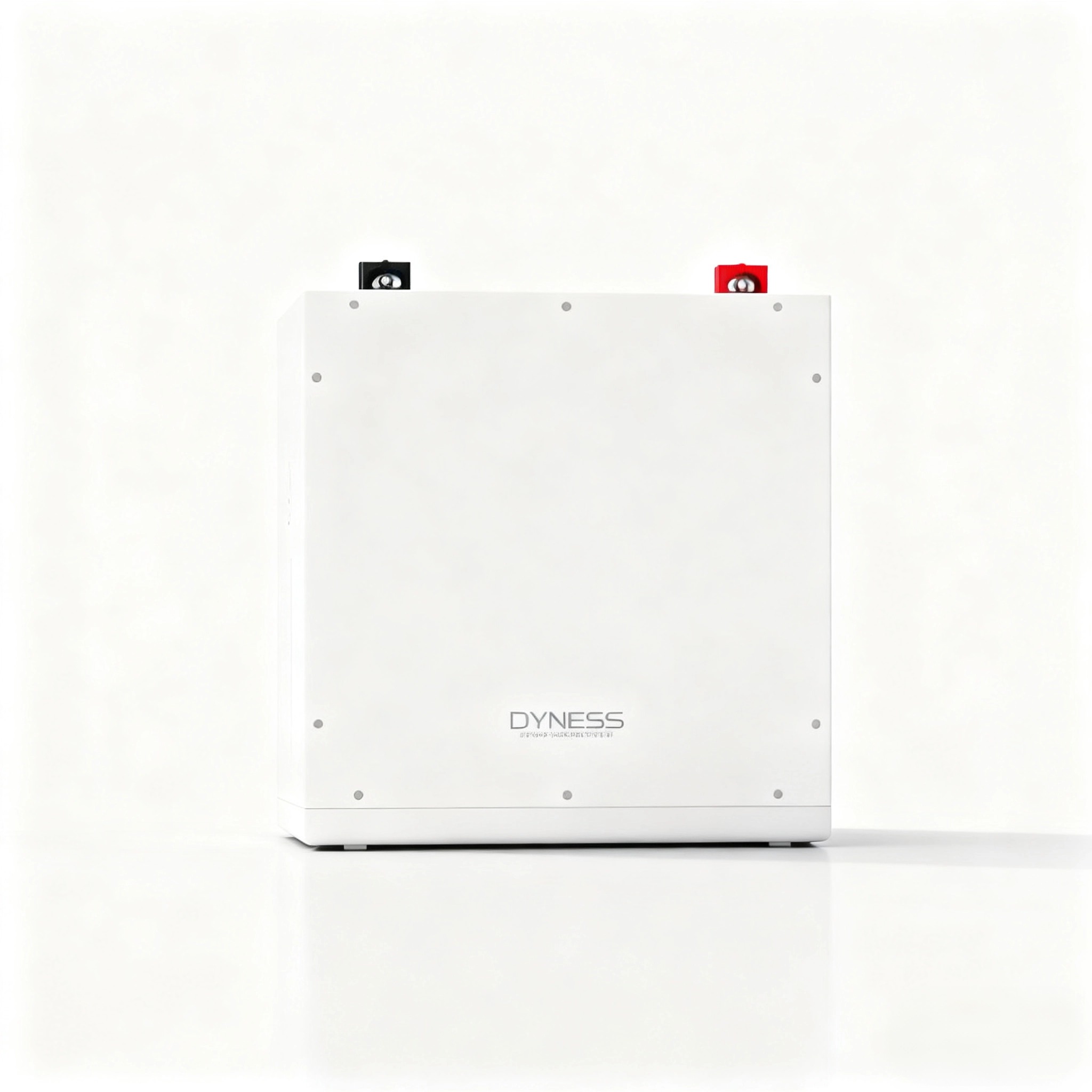 Dyness DL5.0C 1C リチウムイオン電池 51. - Lithium Battery 100Ah のレビューと価格