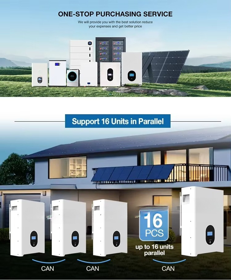 48V 51.2V 5kWh 10kWh 15kWh 16k - Lithium Battery 100Ah のレビューと価格